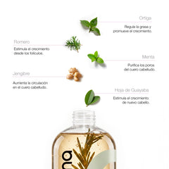 SHAMPOO CRECIMIENTO HERBAL - CABELLO GRASO