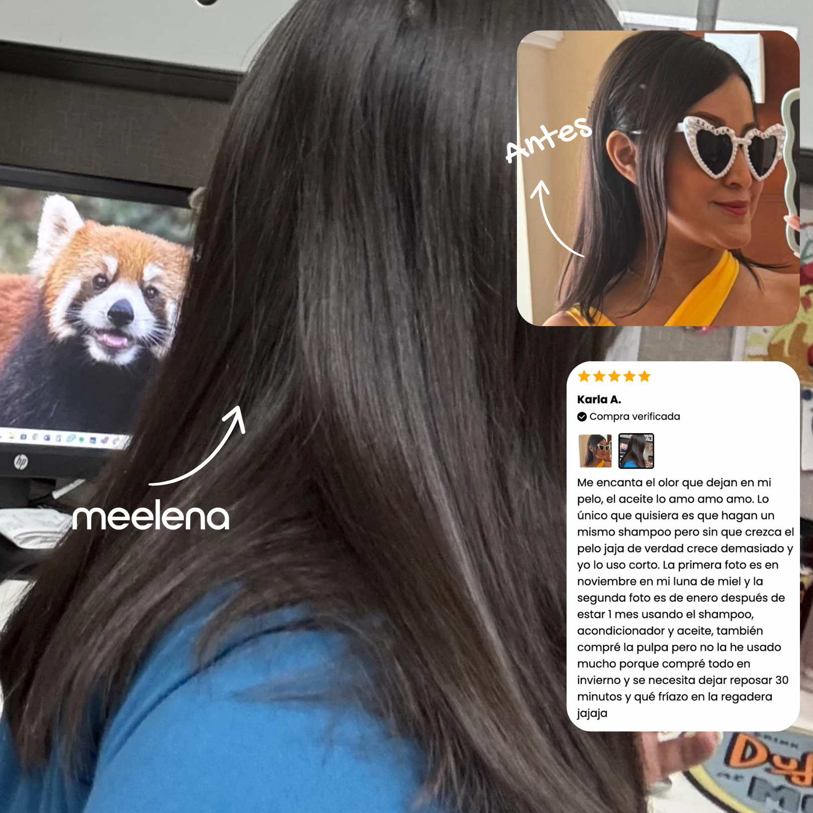 KIT 2: ANTICAÍDA + CRECIMIENTO + REPARACIÓN